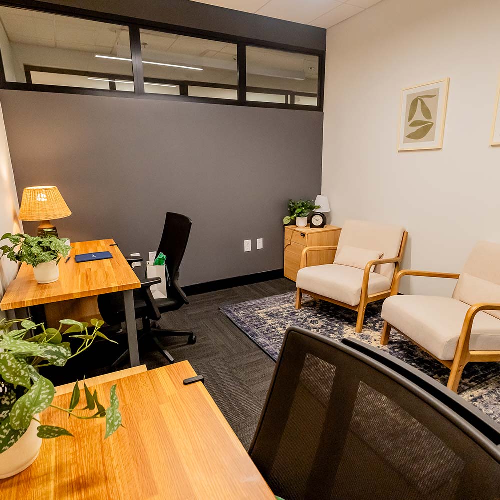 Project Cowork office