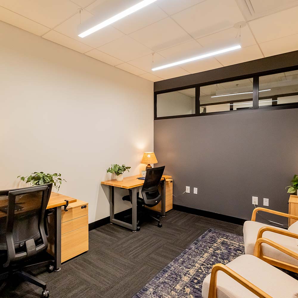 Project Cowork office